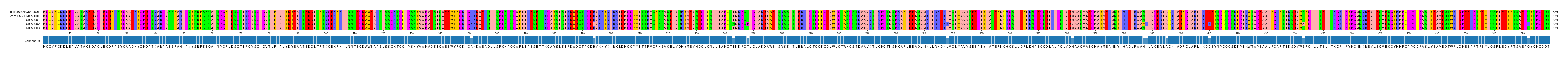 Multiple Alignments (by translate haplotype frequency)