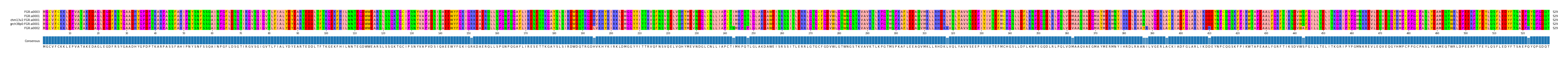 Multiple Alignments (by translate haplotype similarity)