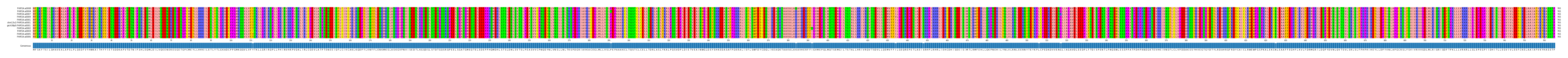 Multiple Alignments (by translate haplotype similarity)