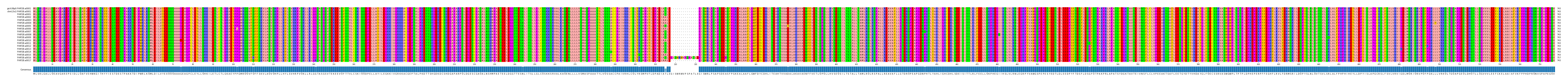 Multiple Alignments (by translate haplotype frequency)