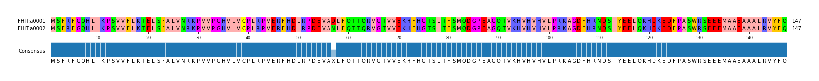Multiple Alignments (by translate haplotype frequency)