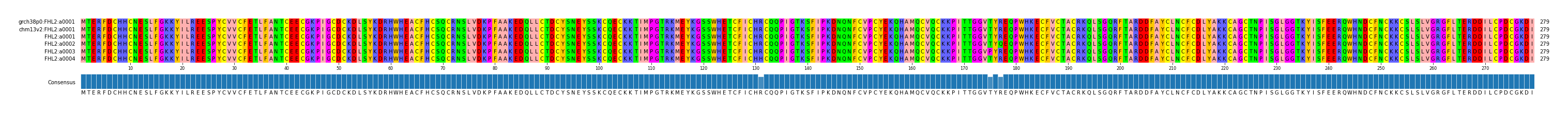 Multiple Alignments (by translate haplotype frequency)