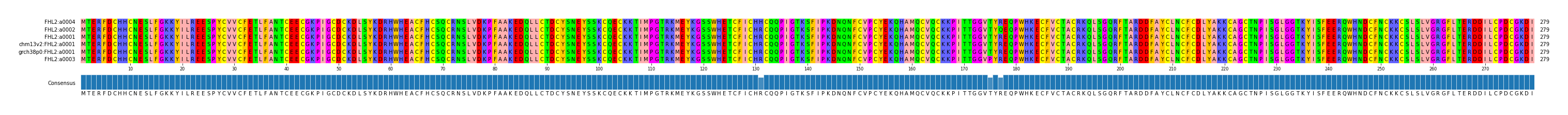 Multiple Alignments (by translate haplotype similarity)