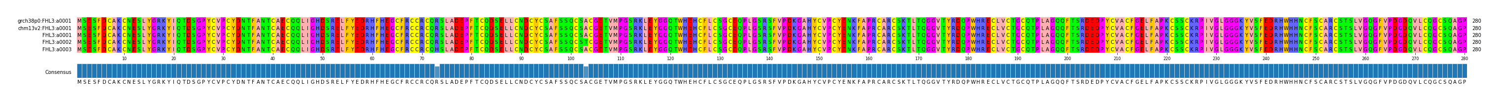 Multiple Alignments (by translate haplotype frequency)