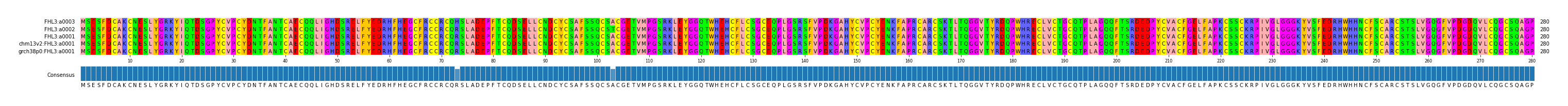 Multiple Alignments (by translate haplotype similarity)