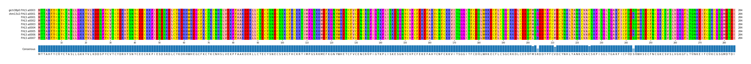 Multiple Alignments (by translate haplotype frequency)