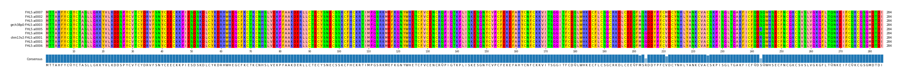 Multiple Alignments (by translate haplotype similarity)