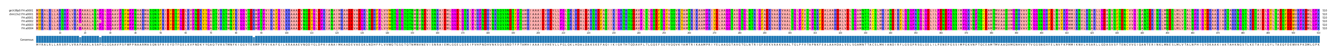 Multiple Alignments (by translate haplotype frequency)