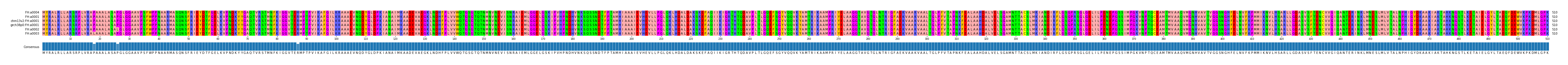 Multiple Alignments (by translate haplotype similarity)