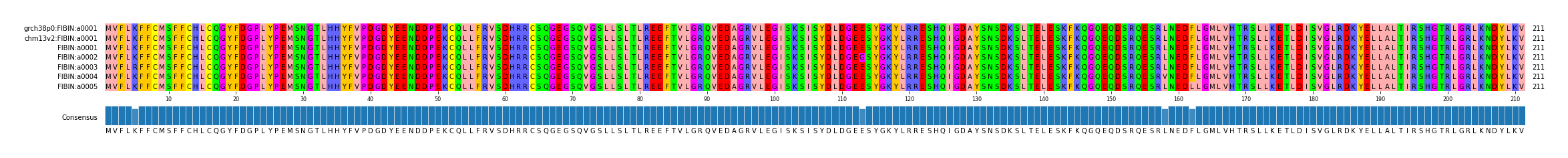 Multiple Alignments (by translate haplotype frequency)