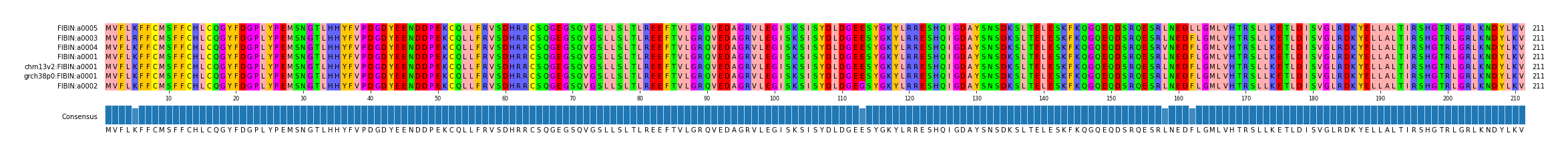 Multiple Alignments (by translate haplotype similarity)
