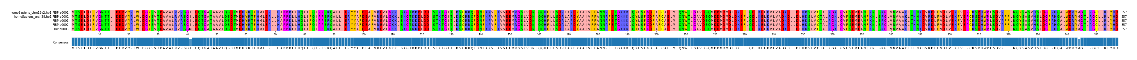 Multiple Alignments (by translate haplotype frequency)