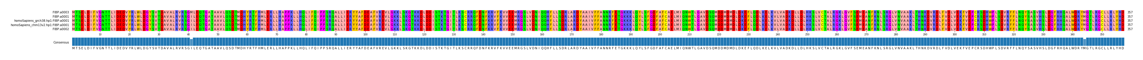 Multiple Alignments (by translate haplotype similarity)