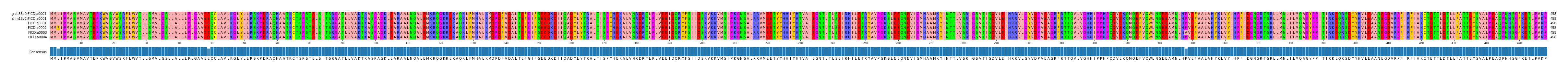 Multiple Alignments (by translate haplotype frequency)
