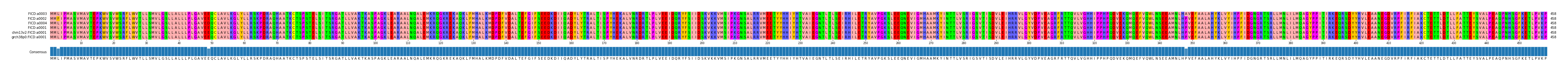 Multiple Alignments (by translate haplotype similarity)