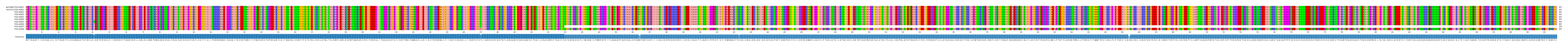 Multiple Alignments (by translate haplotype frequency)