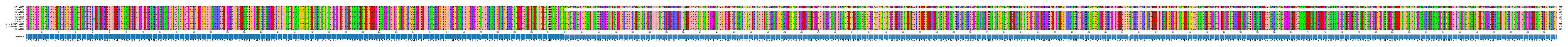 Multiple Alignments (by translate haplotype similarity)