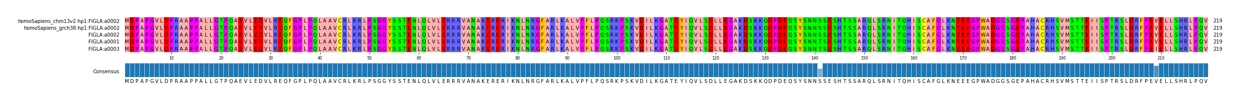 Multiple Alignments (by translate haplotype similarity)