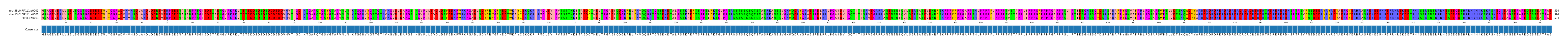 Multiple Alignments (by translate haplotype similarity)