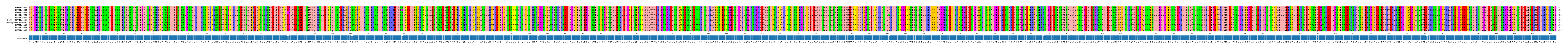 Multiple Alignments (by translate haplotype similarity)