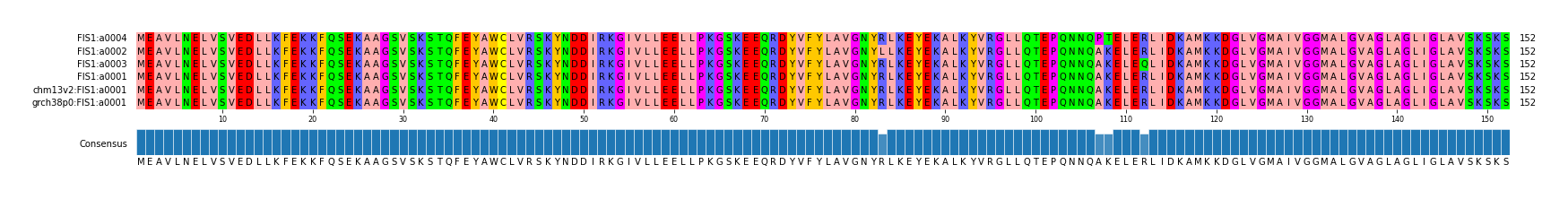 Multiple Alignments (by translate haplotype similarity)