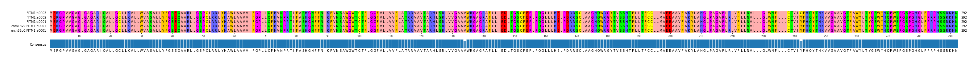 Multiple Alignments (by translate haplotype similarity)