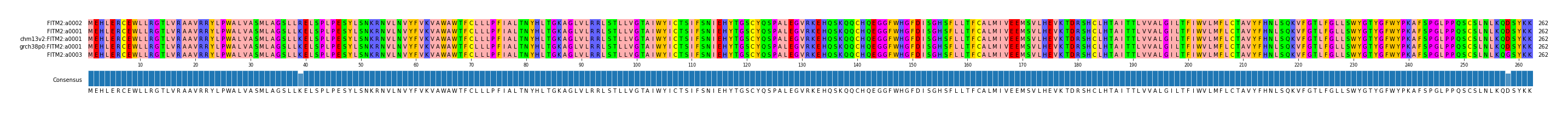 Multiple Alignments (by translate haplotype similarity)