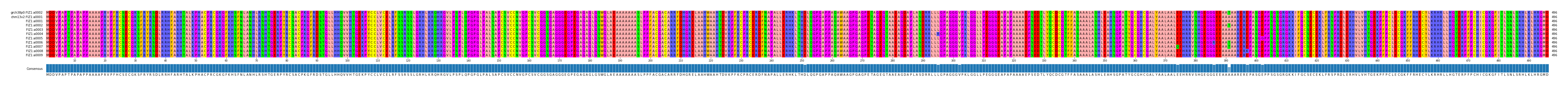 Multiple Alignments (by translate haplotype frequency)