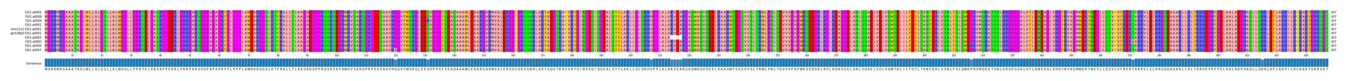 Multiple Alignments (by translate haplotype similarity)