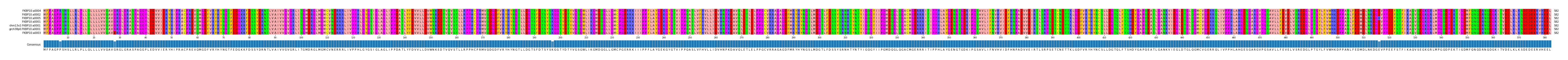 Multiple Alignments (by translate haplotype similarity)