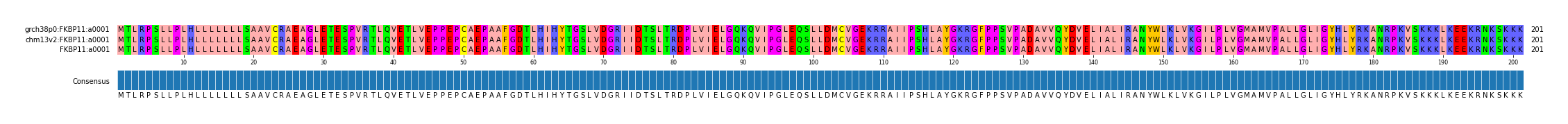 Multiple Alignments (by translate haplotype similarity)