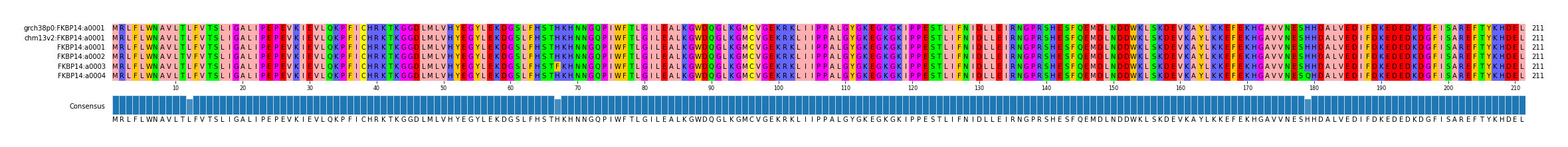 Multiple Alignments (by translate haplotype frequency)