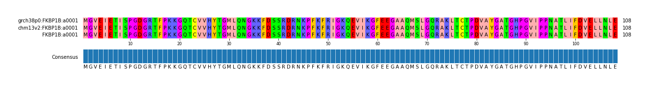 Multiple Alignments (by translate haplotype similarity)