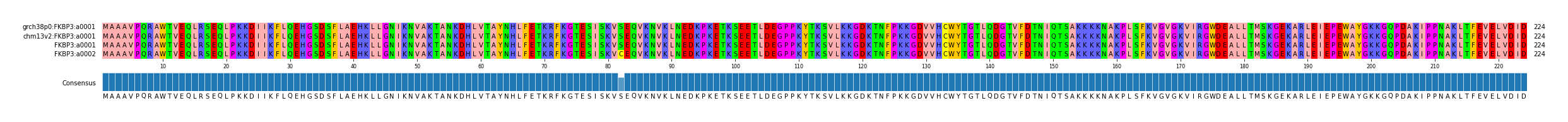 Multiple Alignments (by translate haplotype frequency)