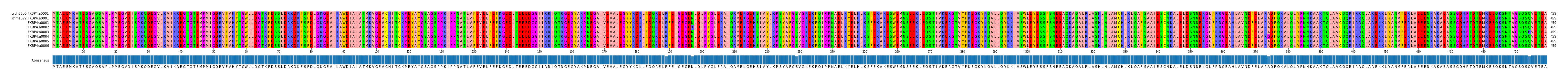 Multiple Alignments (by translate haplotype frequency)