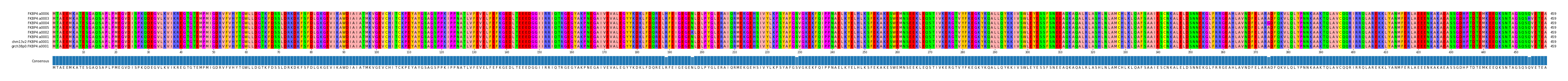 Multiple Alignments (by translate haplotype similarity)