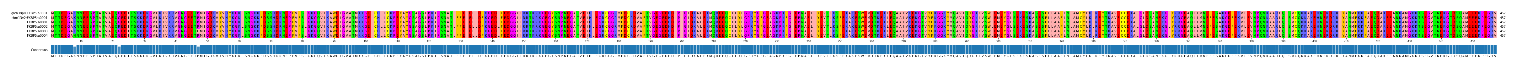 Multiple Alignments (by translate haplotype frequency)