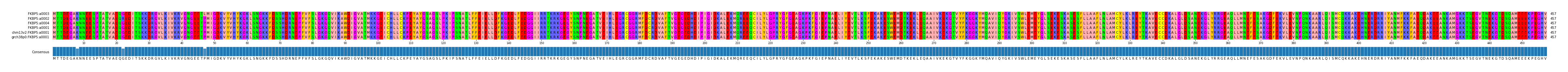 Multiple Alignments (by translate haplotype similarity)