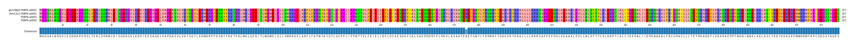Multiple Alignments (by translate haplotype similarity)