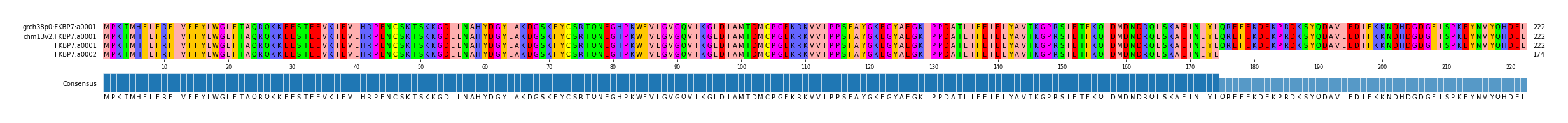 Multiple Alignments (by translate haplotype similarity)