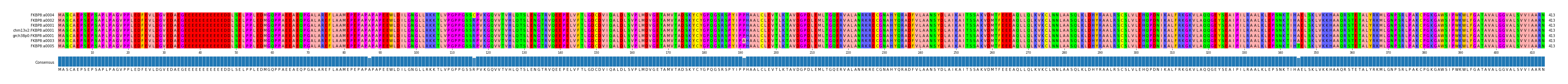 Multiple Alignments (by translate haplotype similarity)