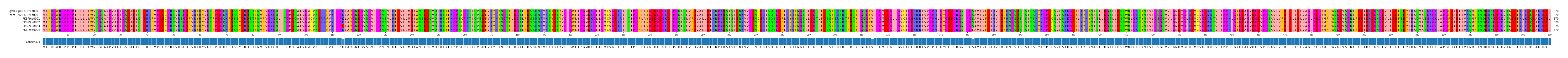 Multiple Alignments (by translate haplotype frequency)