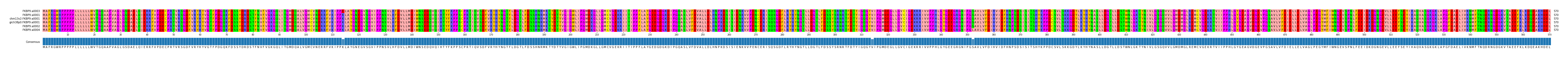 Multiple Alignments (by translate haplotype similarity)
