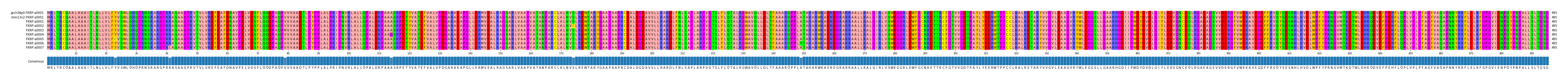 Multiple Alignments (by translate haplotype frequency)