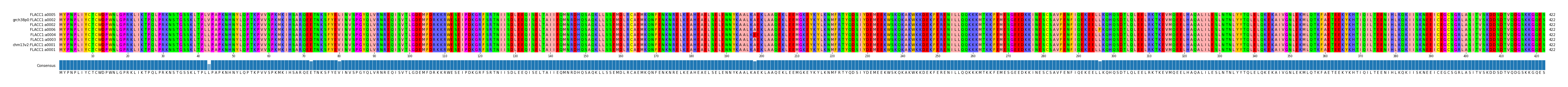Multiple Alignments (by translate haplotype similarity)
