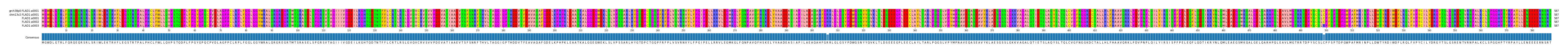 Multiple Alignments (by translate haplotype frequency)