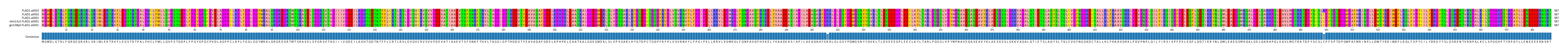 Multiple Alignments (by translate haplotype similarity)