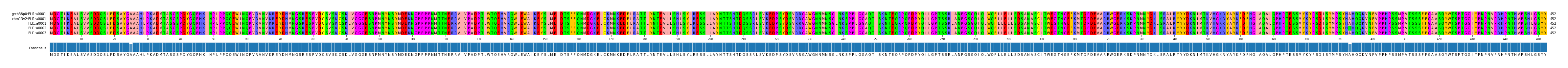 Multiple Alignments (by translate haplotype frequency)