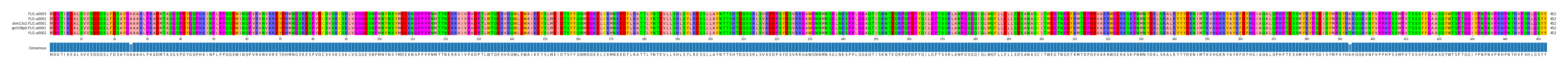 Multiple Alignments (by translate haplotype similarity)
