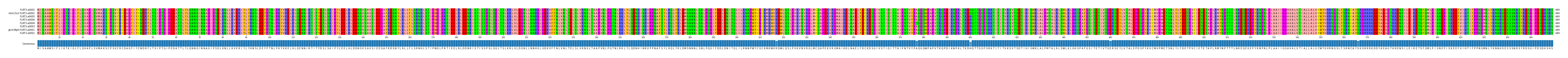 Multiple Alignments (by translate haplotype similarity)